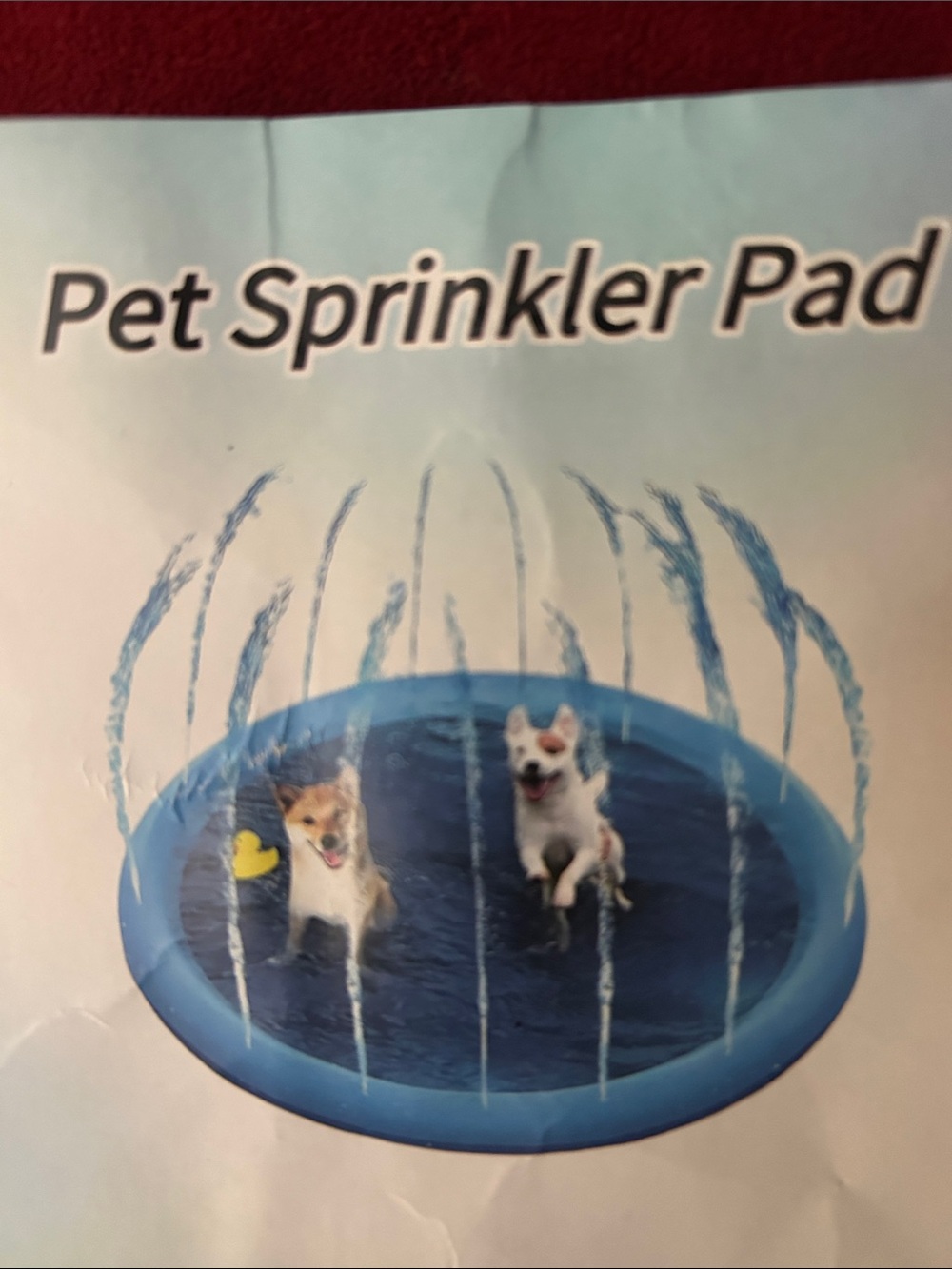 Pet Sprinkler Pad - Blue